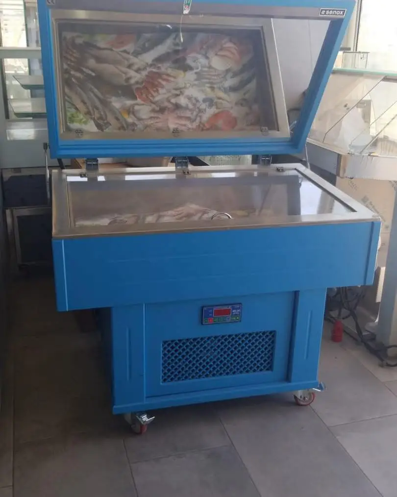 Për biznesin tuaj të peshkut – Ekspozitori ideal që ruan freskinë